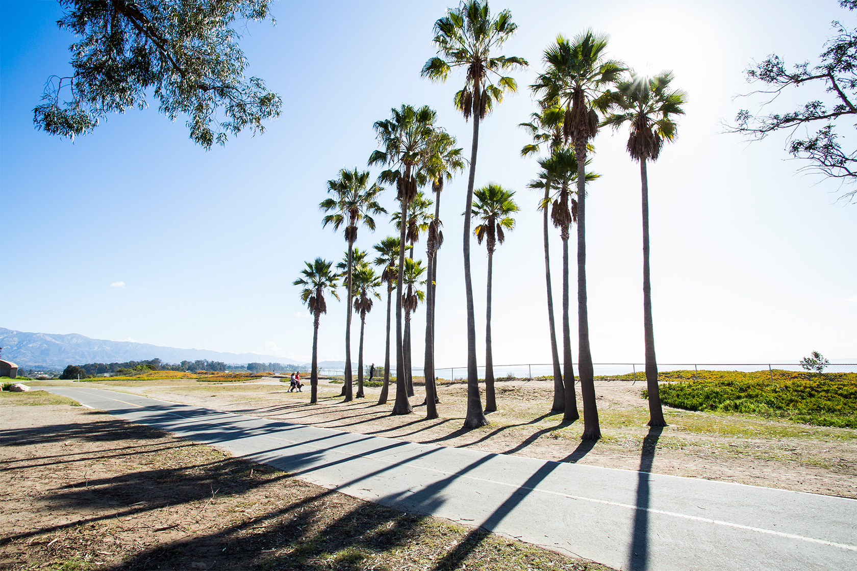Palm trees overlooking a bike path with Goleta Beach in the background