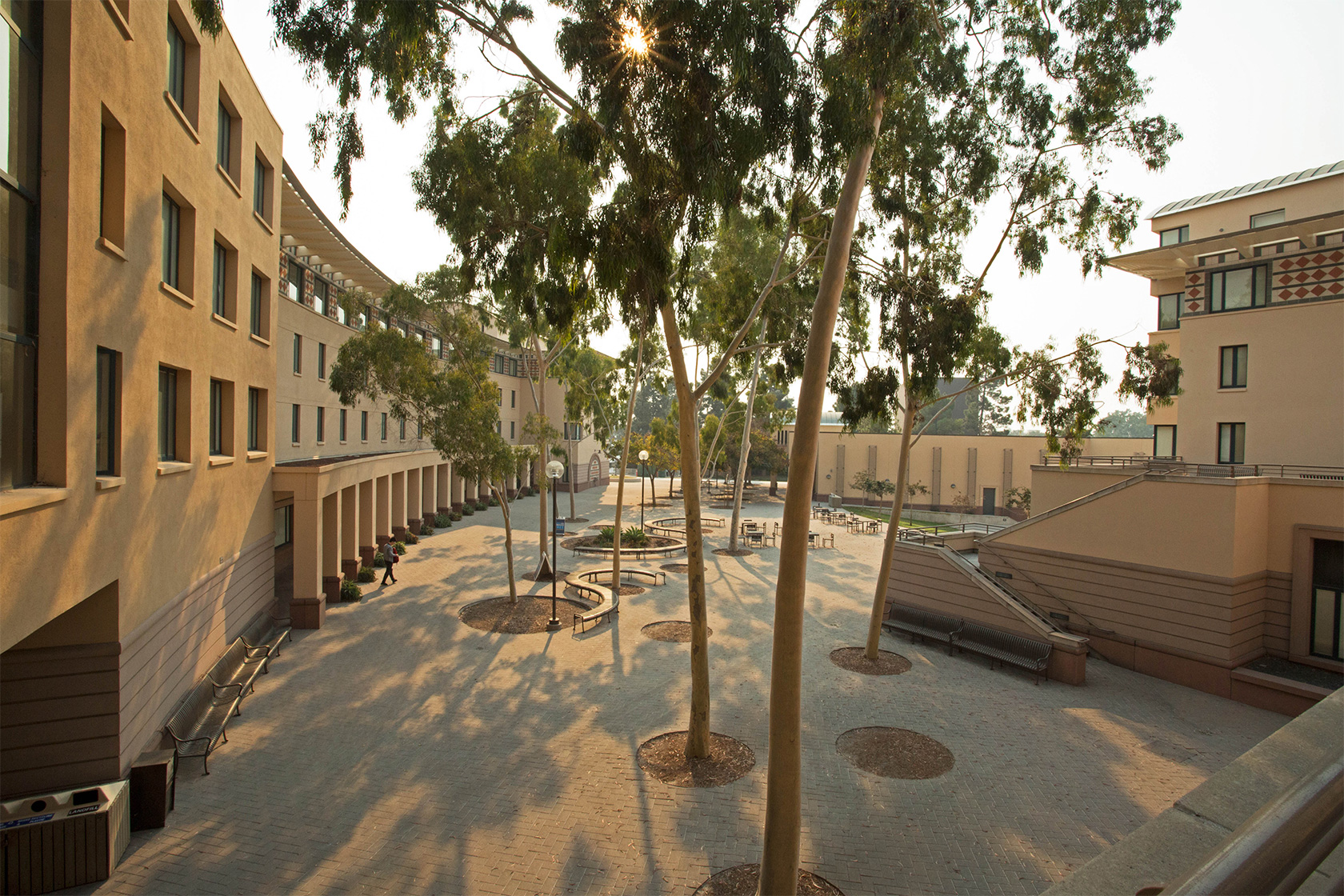 A view of the courtyard within the Humanities and Social Sciences Building, dominated with trees
