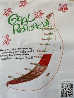hand drawn poster of a banana with hundred dollar increments filled up to 555
